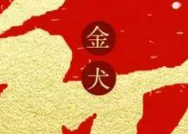 鑫耀裝飾給大家拜年了?。?！